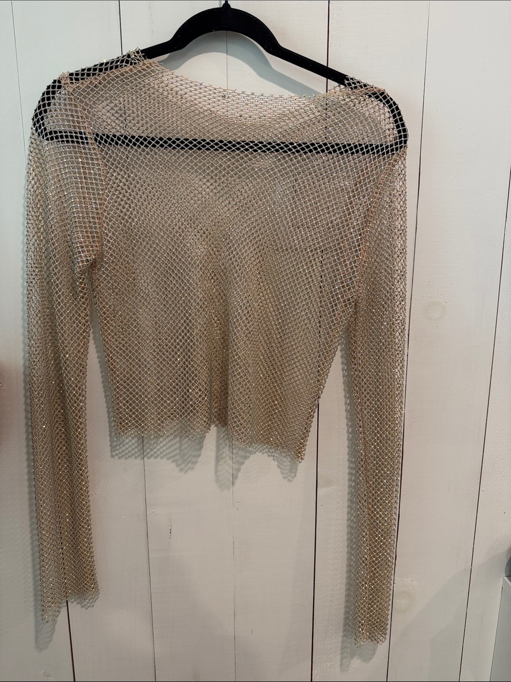 Zara Metallic Mesh Long-Sleeve Crop Top in Gold